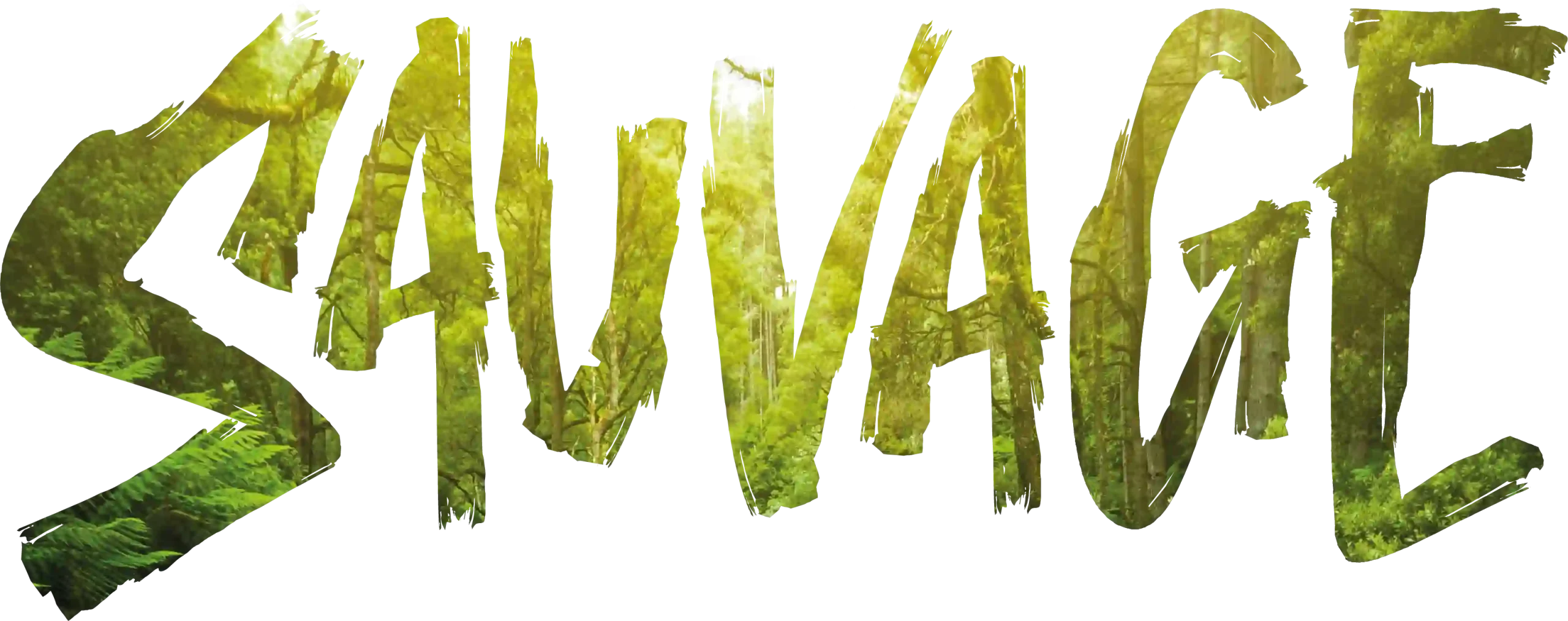 logo Sauvage