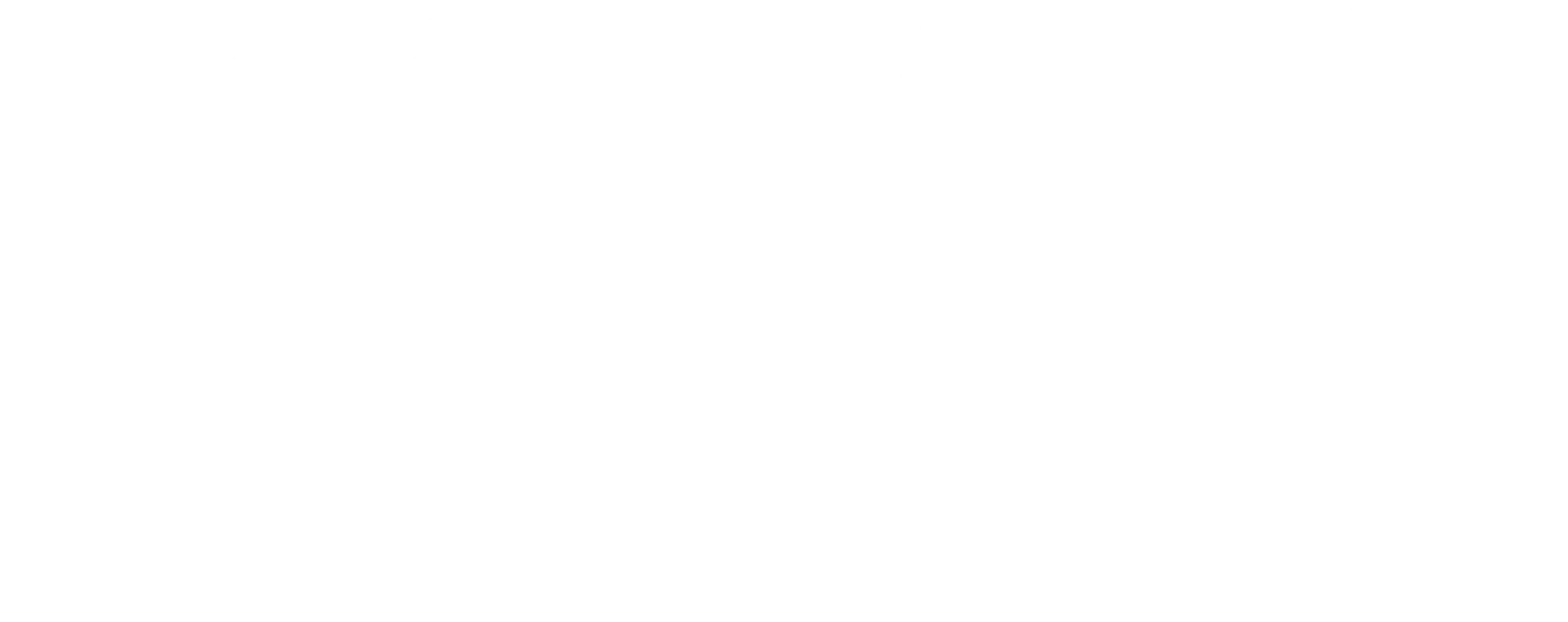 Logo blanco Sauvage grande