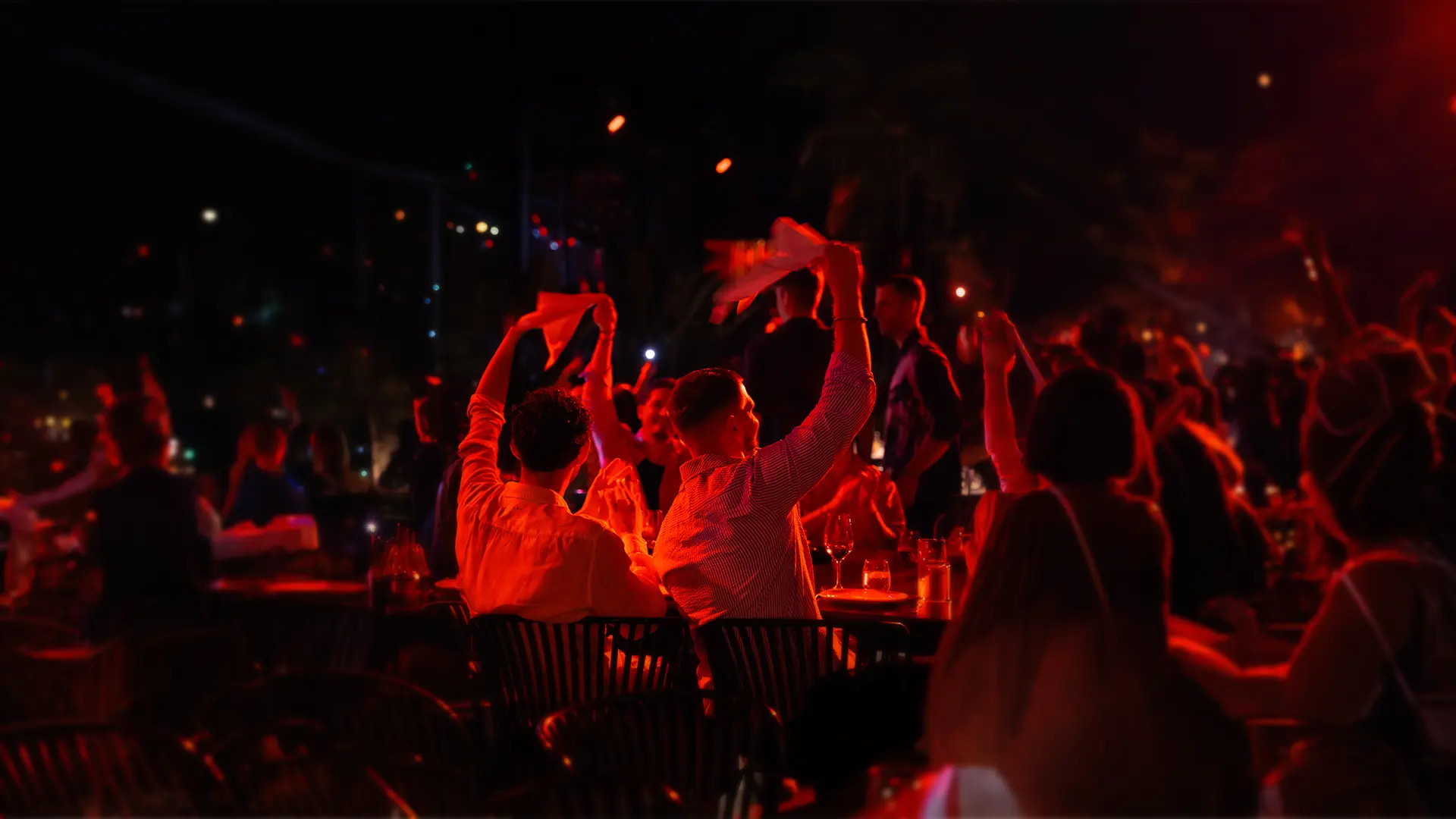 audience at the dinner show