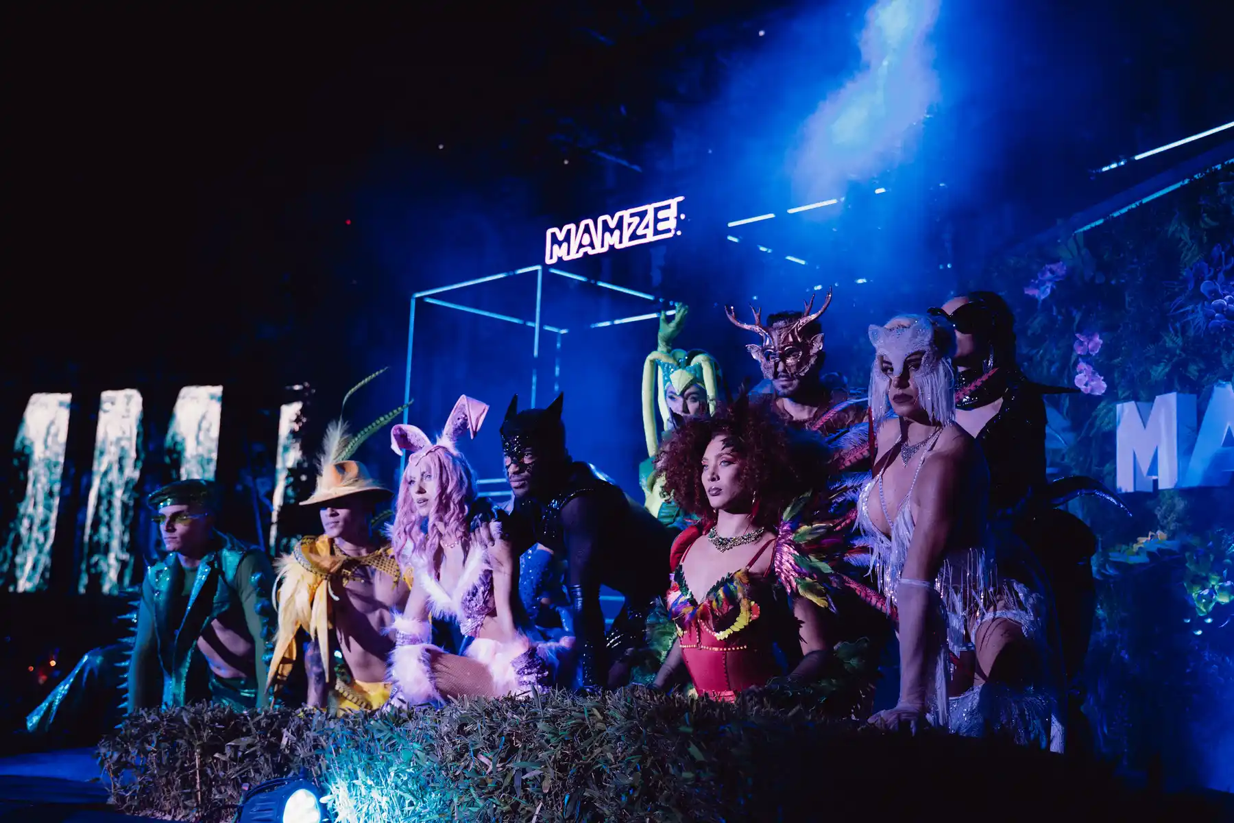 jungle comes alive Sauvage